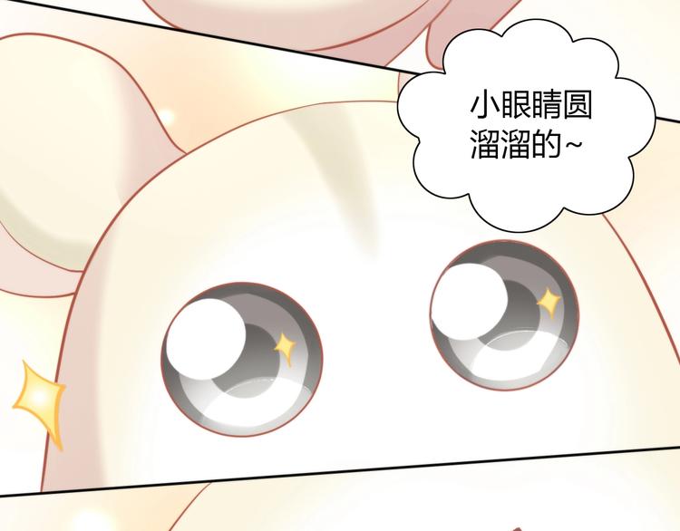 猫爪之下韩漫全集-第108话 仓鼠也有梦想！无删减无遮挡章节图片 