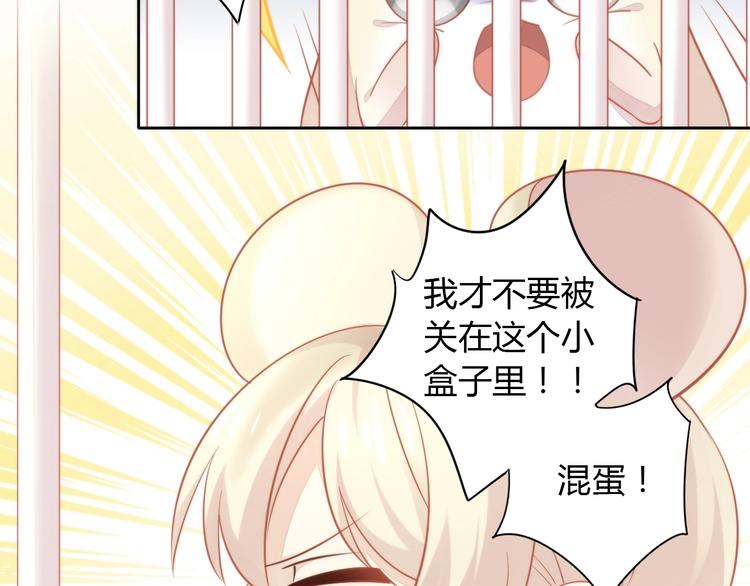猫爪之下韩漫全集-第108话 仓鼠也有梦想！无删减无遮挡章节图片 