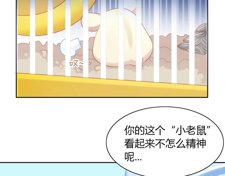 猫爪之下韩漫全集-第108话 仓鼠也有梦想！无删减无遮挡章节图片 