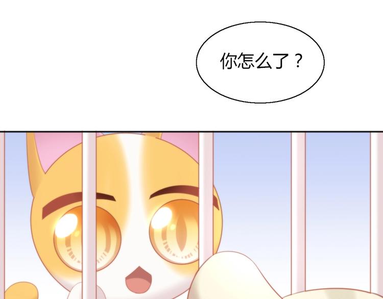 猫爪之下韩漫全集-第108话 仓鼠也有梦想！无删减无遮挡章节图片 