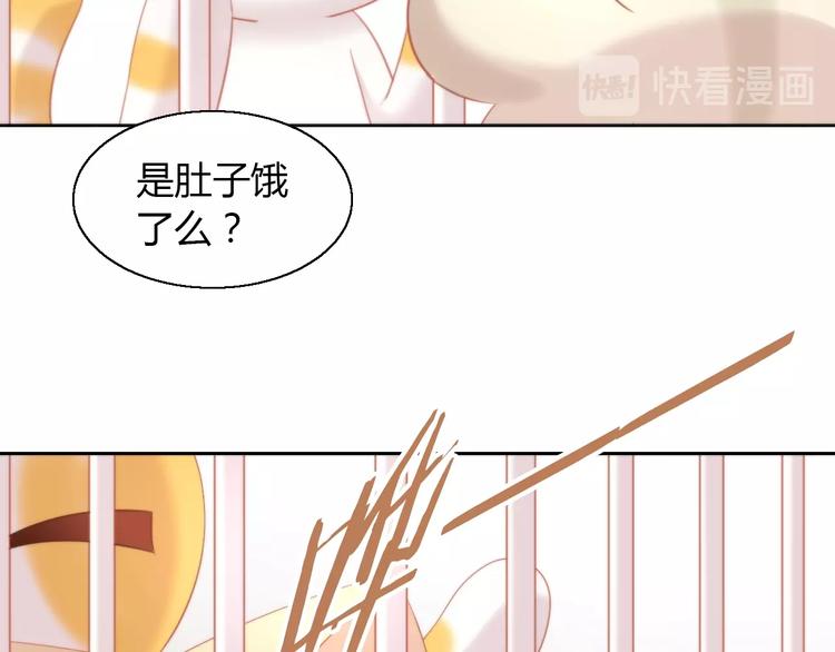 猫爪之下韩漫全集-第108话 仓鼠也有梦想！无删减无遮挡章节图片 