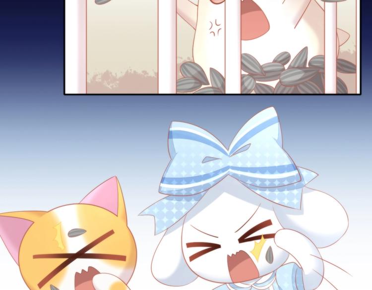 猫爪之下韩漫全集-第108话 仓鼠也有梦想！无删减无遮挡章节图片 