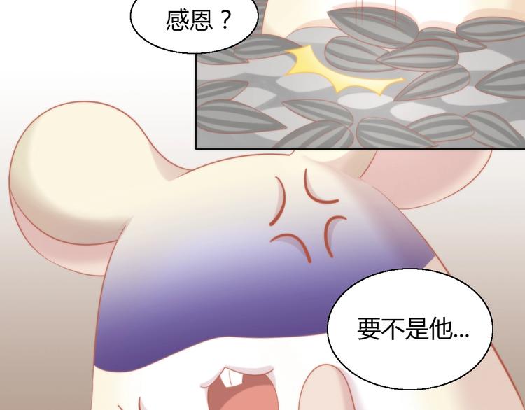猫爪之下韩漫全集-第108话 仓鼠也有梦想！无删减无遮挡章节图片 