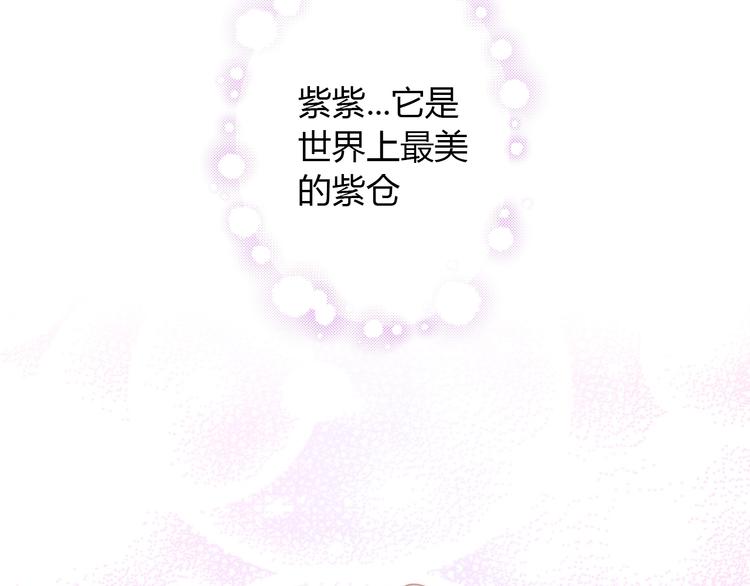 猫爪之下韩漫全集-第108话 仓鼠也有梦想！无删减无遮挡章节图片 