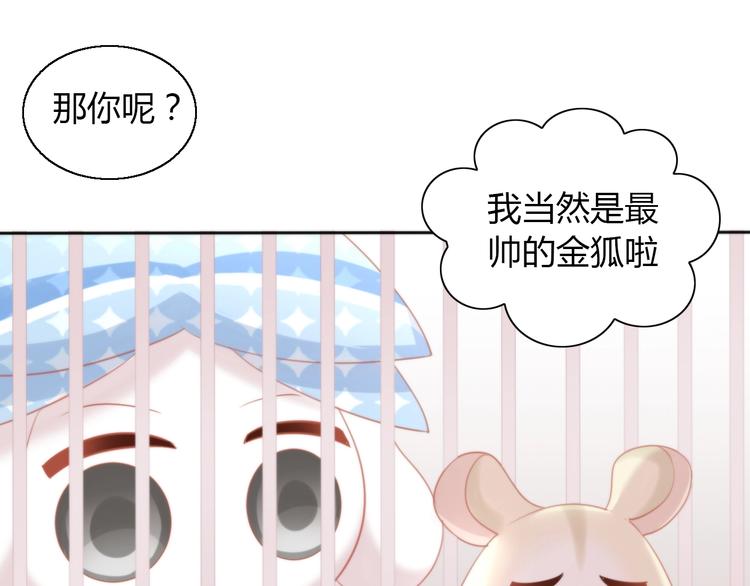 猫爪之下韩漫全集-第108话 仓鼠也有梦想！无删减无遮挡章节图片 