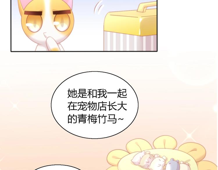 猫爪之下韩漫全集-第108话 仓鼠也有梦想！无删减无遮挡章节图片 