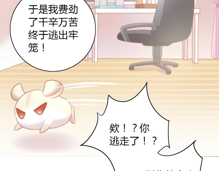 猫爪之下韩漫全集-第108话 仓鼠也有梦想！无删减无遮挡章节图片 
