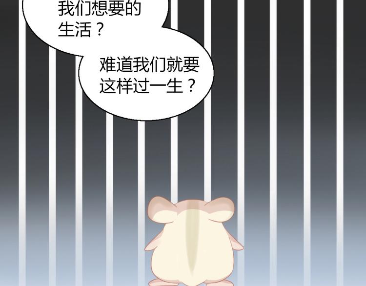 猫爪之下韩漫全集-第108话 仓鼠也有梦想！无删减无遮挡章节图片 