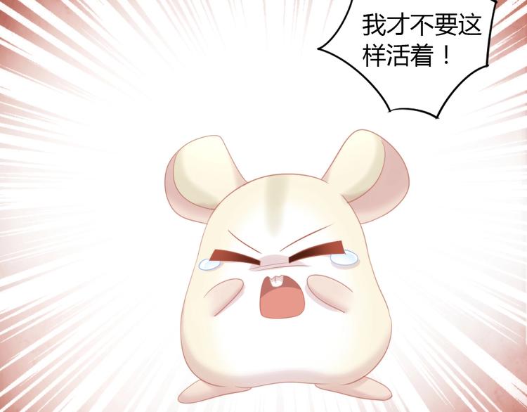 猫爪之下韩漫全集-第108话 仓鼠也有梦想！无删减无遮挡章节图片 