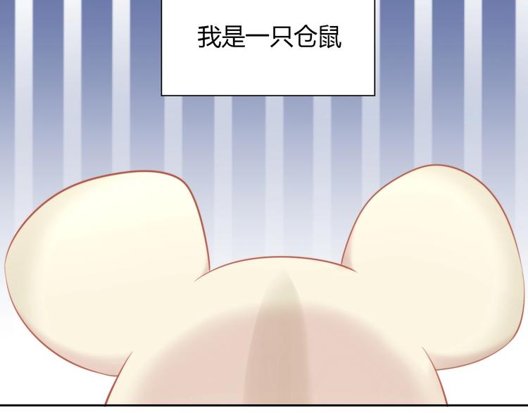 猫爪之下韩漫全集-第108话 仓鼠也有梦想！无删减无遮挡章节图片 