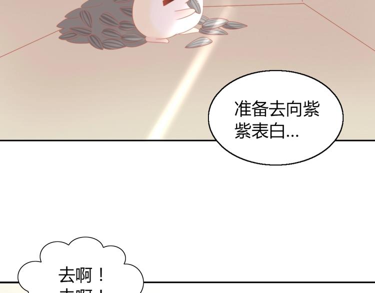 猫爪之下韩漫全集-第108话 仓鼠也有梦想！无删减无遮挡章节图片 