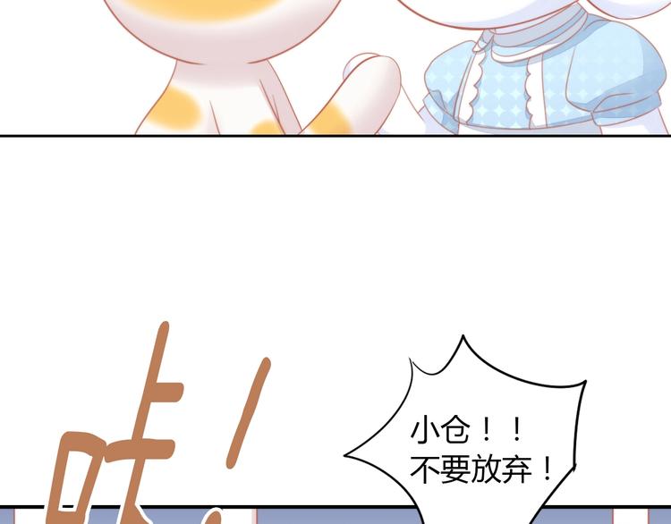 猫爪之下韩漫全集-第108话 仓鼠也有梦想！无删减无遮挡章节图片 