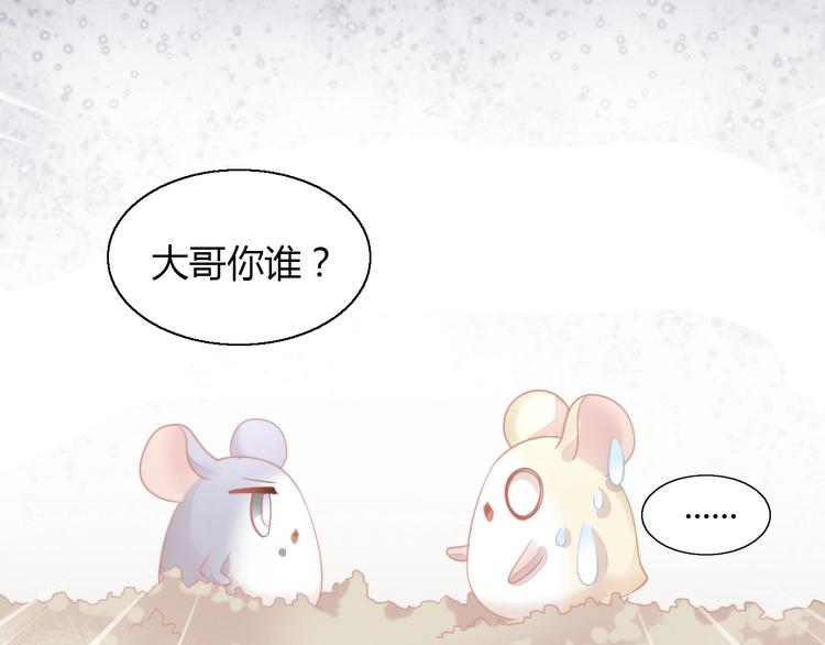 猫爪之下韩漫全集-第109话 小紫无删减无遮挡章节图片 