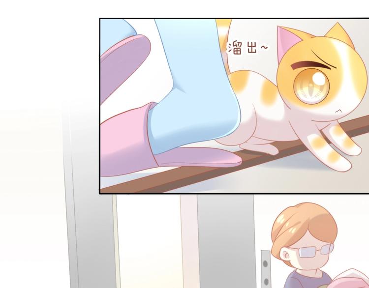 猫爪之下韩漫全集-第109话 小紫无删减无遮挡章节图片 