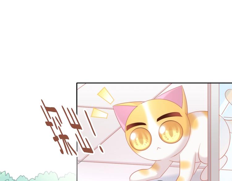 猫爪之下韩漫全集-第109话 小紫无删减无遮挡章节图片 