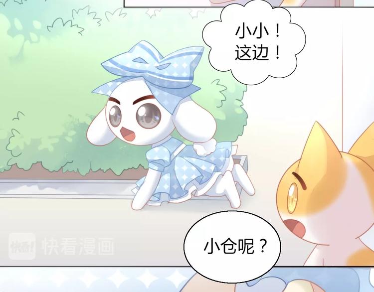 猫爪之下韩漫全集-第109话 小紫无删减无遮挡章节图片 