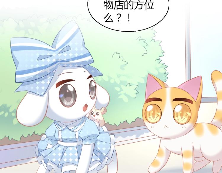 猫爪之下韩漫全集-第109话 小紫无删减无遮挡章节图片 
