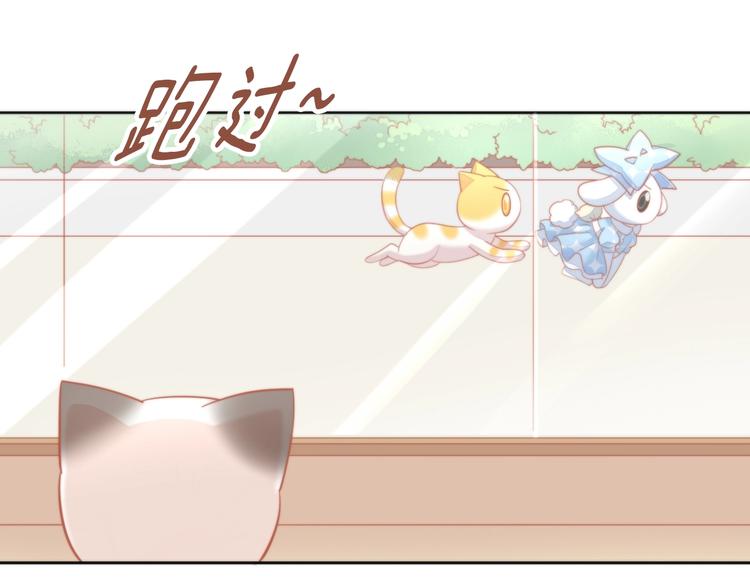 猫爪之下韩漫全集-第109话 小紫无删减无遮挡章节图片 