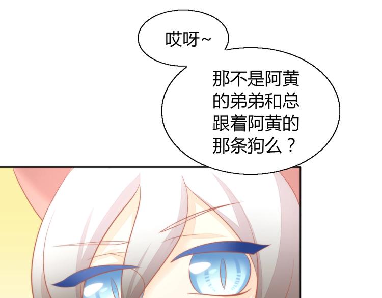 猫爪之下韩漫全集-第109话 小紫无删减无遮挡章节图片 