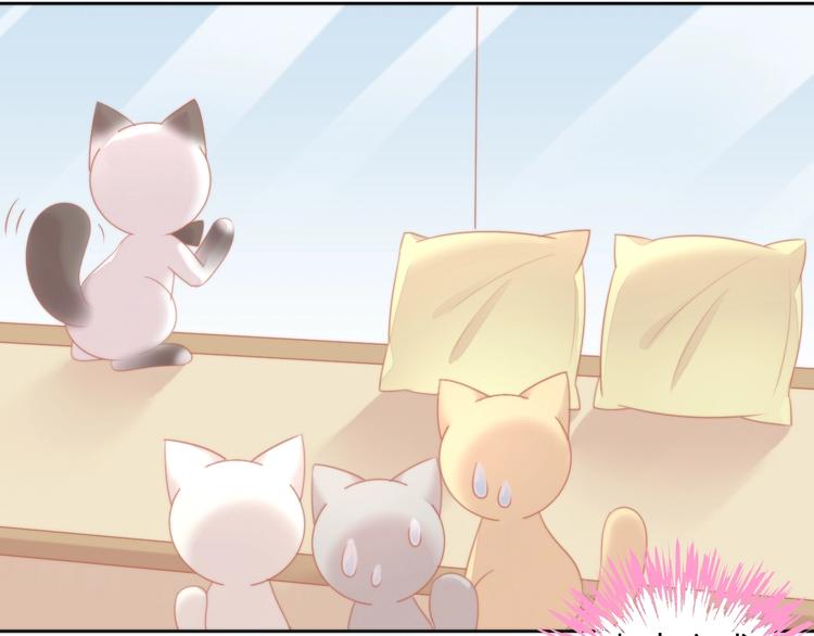 猫爪之下韩漫全集-第109话 小紫无删减无遮挡章节图片 