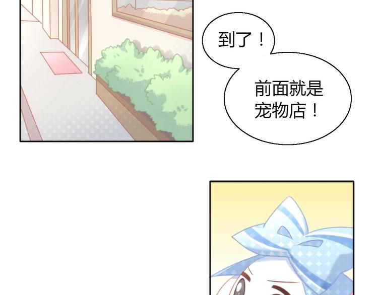 猫爪之下韩漫全集-第109话 小紫无删减无遮挡章节图片 