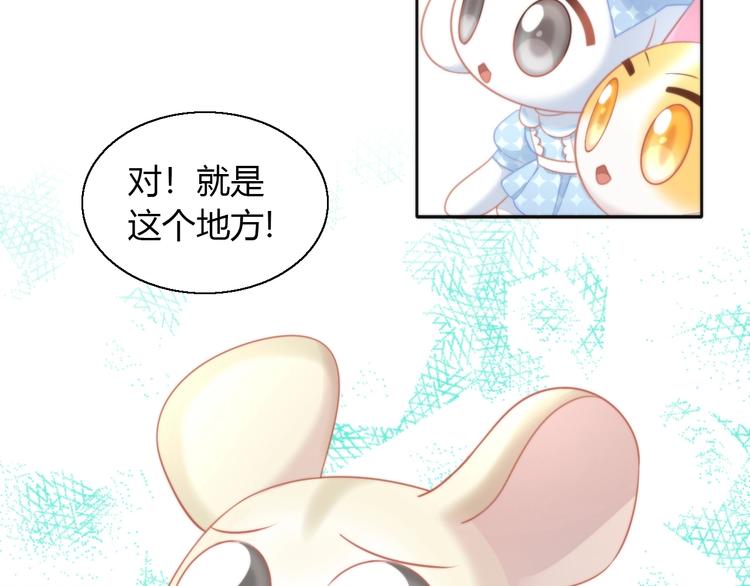 猫爪之下韩漫全集-第109话 小紫无删减无遮挡章节图片 