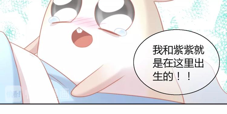 猫爪之下韩漫全集-第109话 小紫无删减无遮挡章节图片 