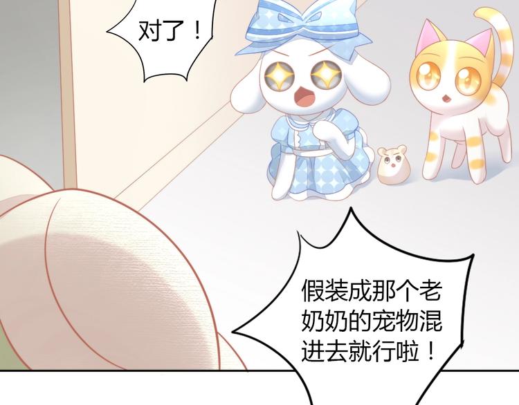 猫爪之下韩漫全集-第109话 小紫无删减无遮挡章节图片 