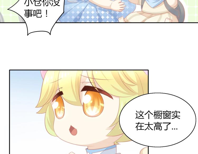 猫爪之下韩漫全集-第109话 小紫无删减无遮挡章节图片 