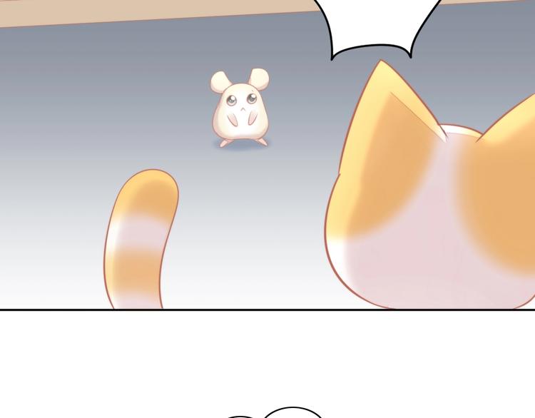 猫爪之下韩漫全集-第109话 小紫无删减无遮挡章节图片 
