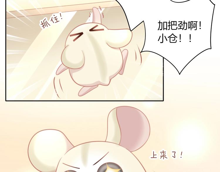 猫爪之下韩漫全集-第109话 小紫无删减无遮挡章节图片 