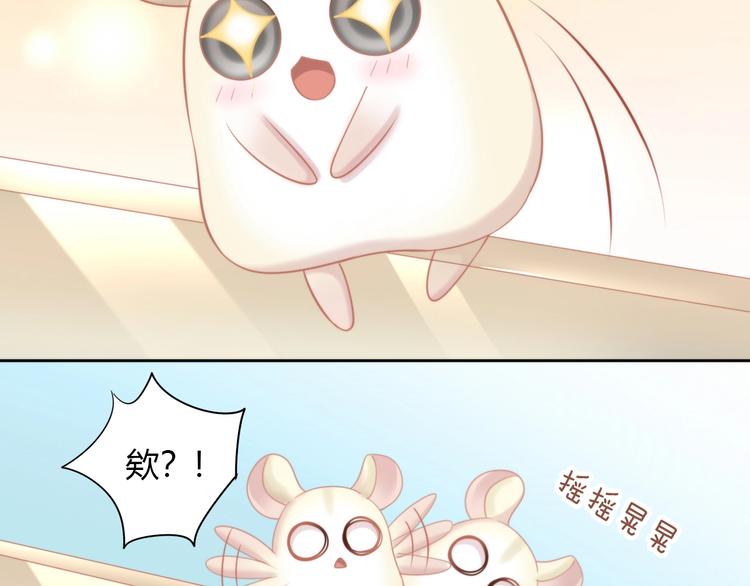 猫爪之下韩漫全集-第109话 小紫无删减无遮挡章节图片 