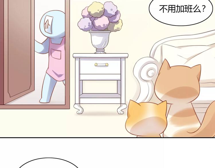 猫爪之下韩漫全集-第12话  纸箱争夺战无删减无遮挡章节图片 