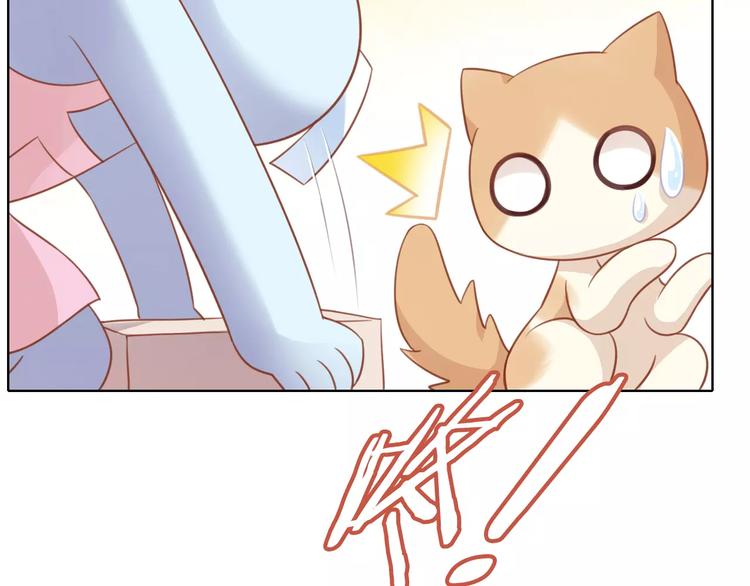 猫爪之下韩漫全集-第12话  纸箱争夺战无删减无遮挡章节图片 