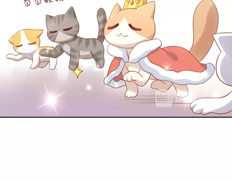 猫爪之下韩漫全集-第12话  纸箱争夺战无删减无遮挡章节图片 
