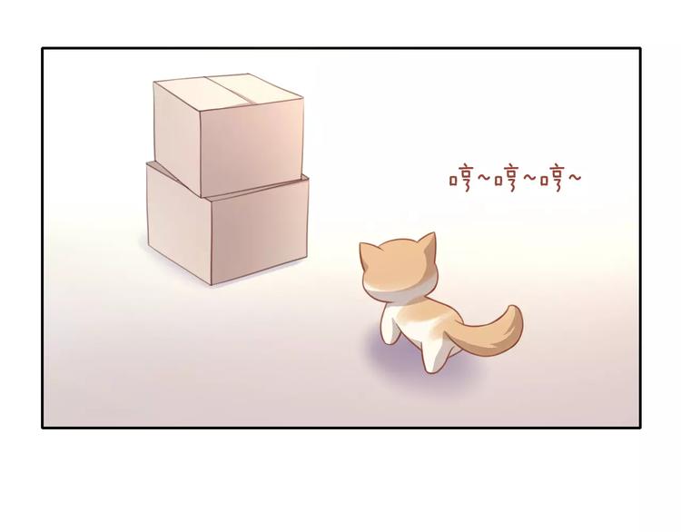 猫爪之下韩漫全集-第12话  纸箱争夺战无删减无遮挡章节图片 