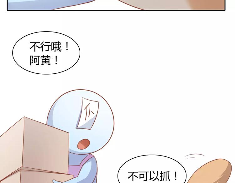 猫爪之下韩漫全集-第12话  纸箱争夺战无删减无遮挡章节图片 