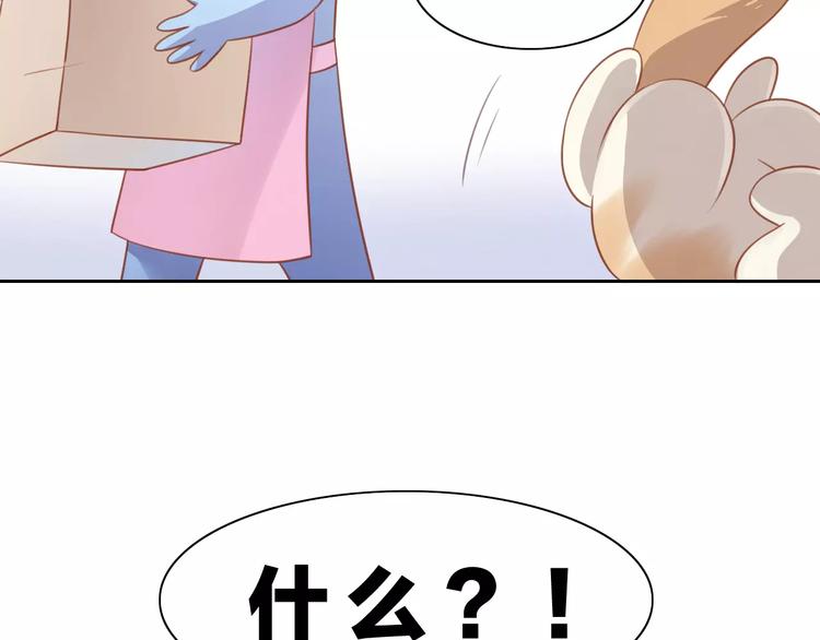 猫爪之下韩漫全集-第12话  纸箱争夺战无删减无遮挡章节图片 