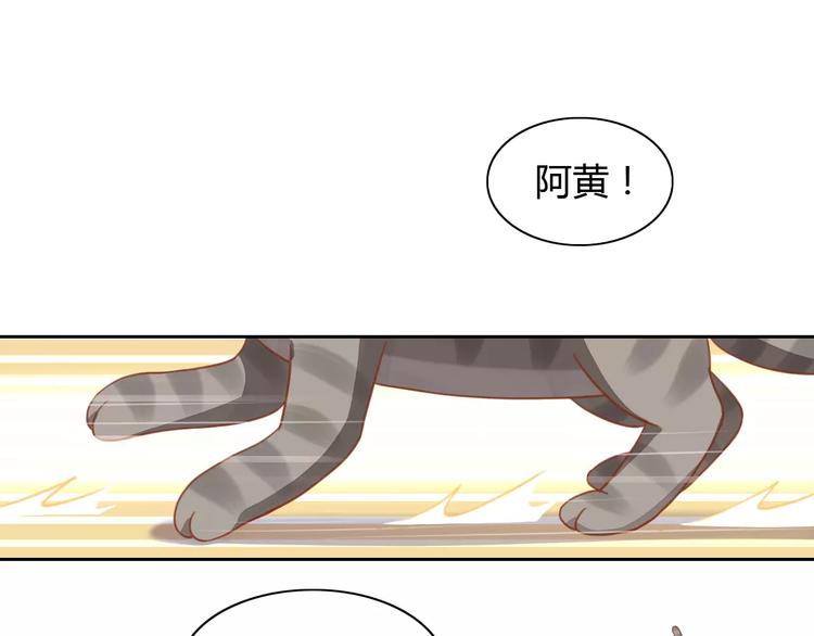 猫爪之下韩漫全集-第12话  纸箱争夺战无删减无遮挡章节图片 