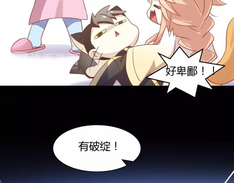 猫爪之下韩漫全集-第12话  纸箱争夺战无删减无遮挡章节图片 