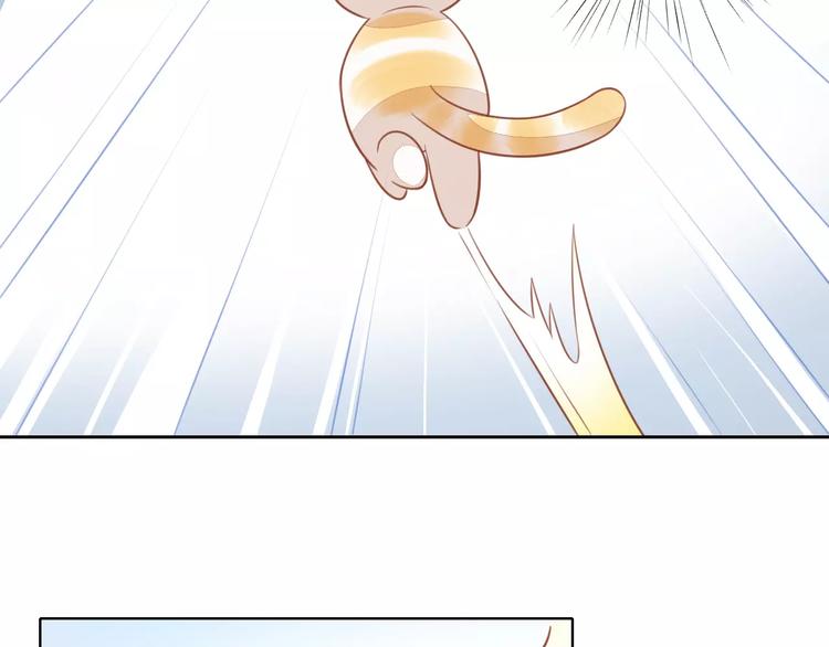 猫爪之下韩漫全集-第12话  纸箱争夺战无删减无遮挡章节图片 