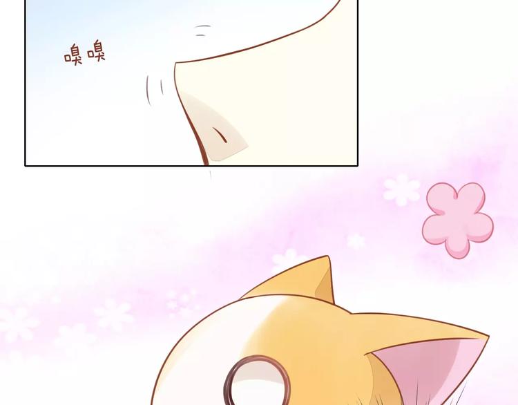 猫爪之下韩漫全集-第12话  纸箱争夺战无删减无遮挡章节图片 