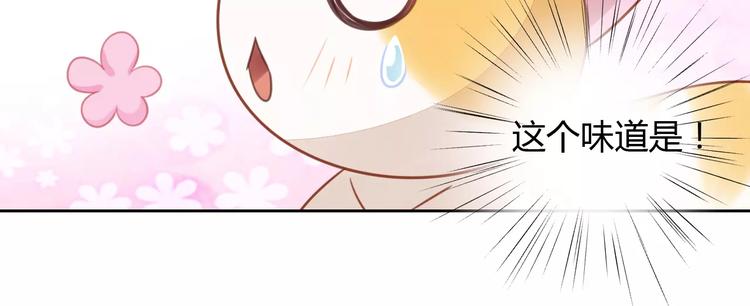 猫爪之下韩漫全集-第12话  纸箱争夺战无删减无遮挡章节图片 