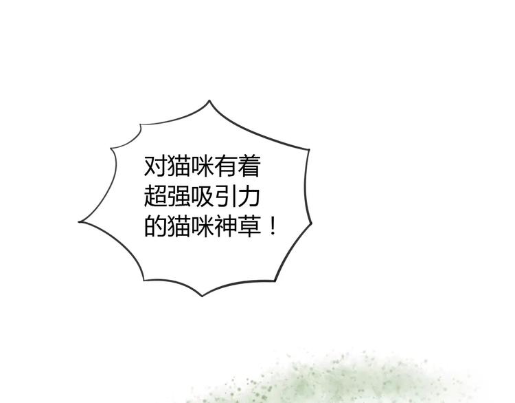 猫爪之下韩漫全集-第12话  纸箱争夺战无删减无遮挡章节图片 