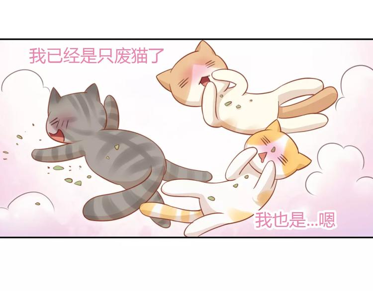 猫爪之下韩漫全集-第12话  纸箱争夺战无删减无遮挡章节图片 