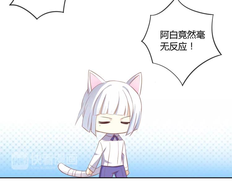 猫爪之下韩漫全集-第12话  纸箱争夺战无删减无遮挡章节图片 