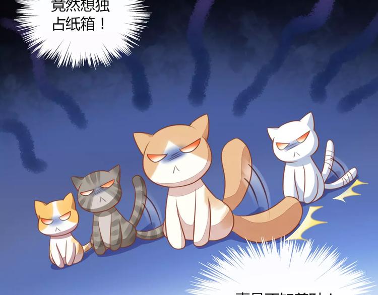 猫爪之下韩漫全集-第12话  纸箱争夺战无删减无遮挡章节图片 