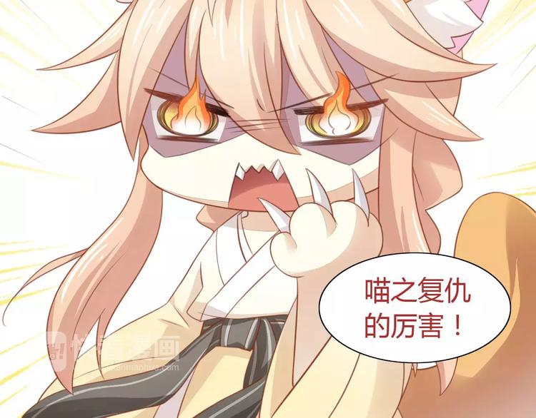 猫爪之下韩漫全集-第12话  纸箱争夺战无删减无遮挡章节图片 
