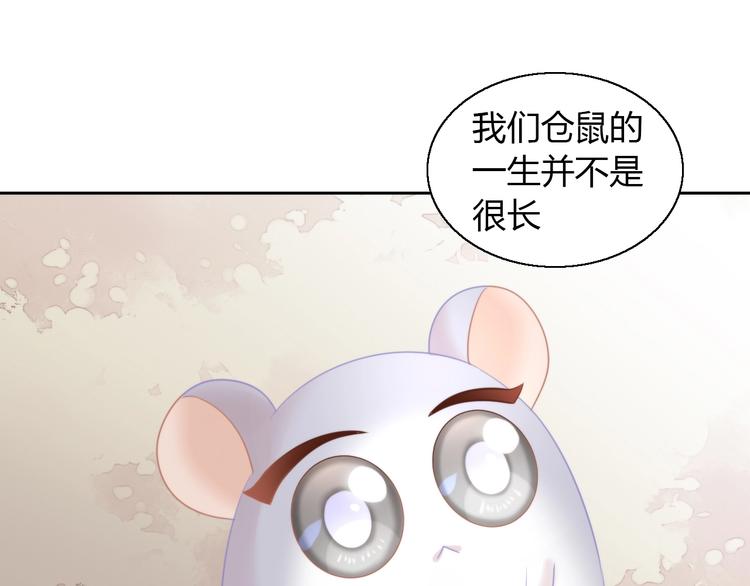 猫爪之下韩漫全集-第110话 有情鼠终成眷属无删减无遮挡章节图片 