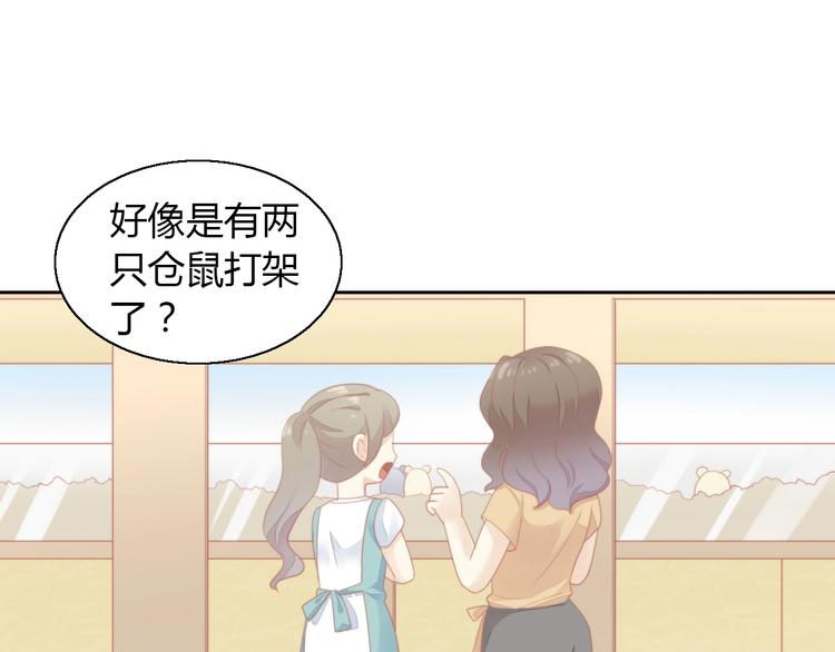 猫爪之下韩漫全集-第110话 有情鼠终成眷属无删减无遮挡章节图片 